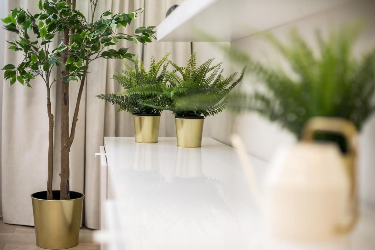 Raugyklos Apartamentai Vilnius Eksteriør billede